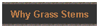 Why Grass Stems